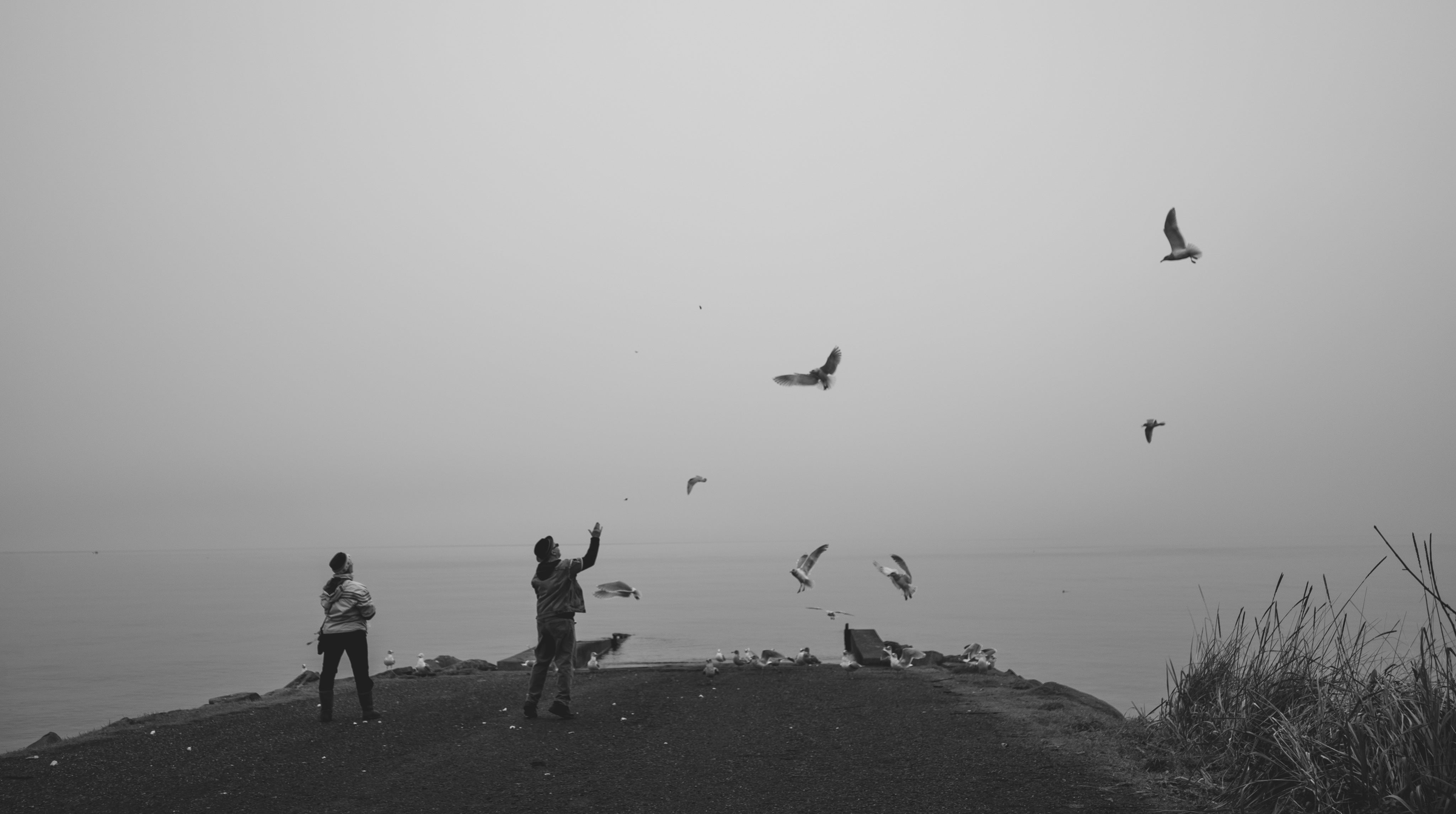 throwing-breadcrumbs-to-hungry-seagulls-circling-above.jpg